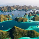 Pulau Terbesar di Dunia: Fakta, Lokasi, dan Keunikan