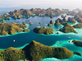 Pulau Terbesar di Dunia: Fakta, Lokasi, dan Keunikan