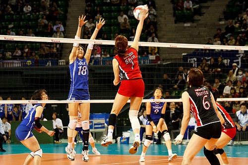 Posisi Pemain Voli: Panduan Lengkap untuk Pemula dan Profesional